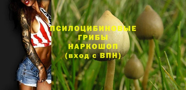 мескалин Алексеевка